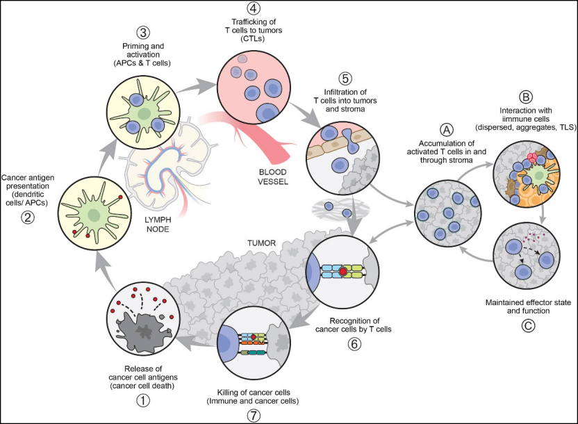 “后PD-1时代”肿瘤药物新策略：新联合、新技术、新靶点