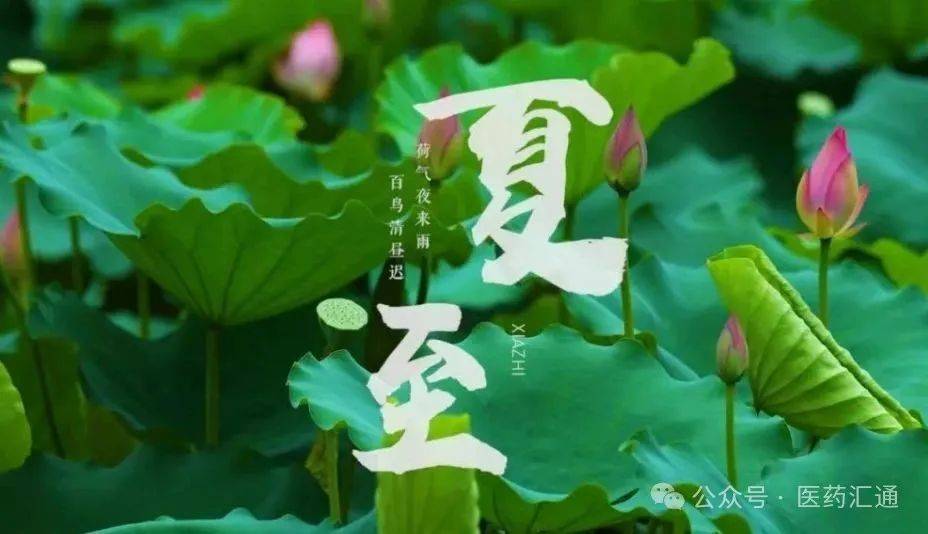 夏至：预防“苦夏”牢记三不要