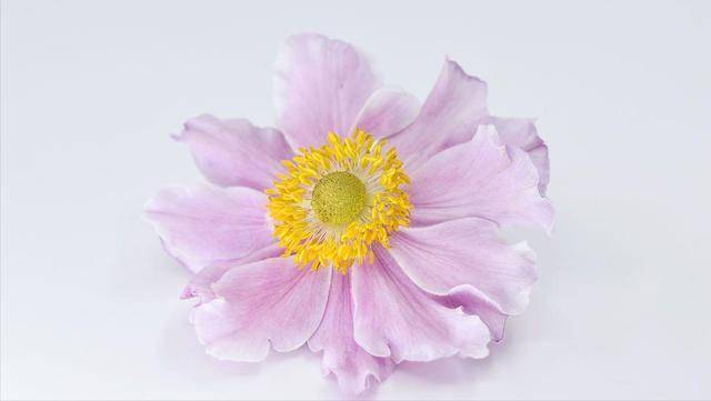 儿女三十岁，还不着急找对象，暴露出家庭的扎心真相，父母要上心