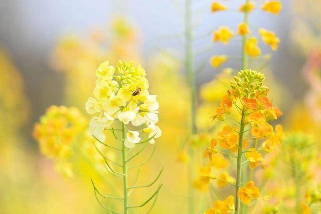 断联后，男人这样对你，说明就是不在乎你了