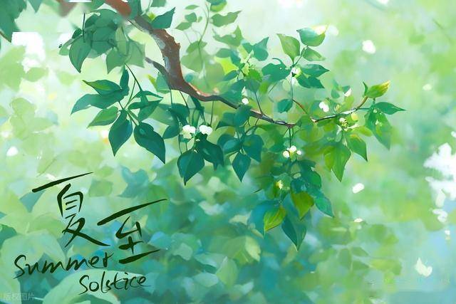 夏至吃5样，湿气不缠身，夏至前后别忘了，祛湿排毒，清热解暑