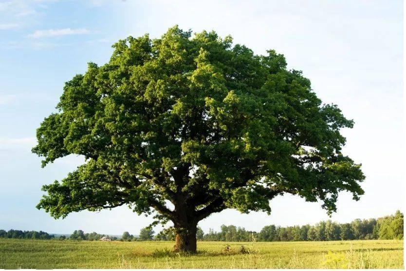 月经不是排毒！女人最关心的 10 个月经问题，一次说清