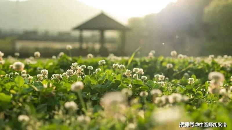 肿瘤患者夏天能吃中药吗？安然度夏，病情不稳定用药不能停