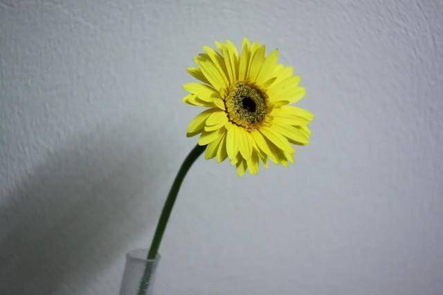 原创            放下一个男人最好的方式，不是老死不相往来，而是做到3个“要”