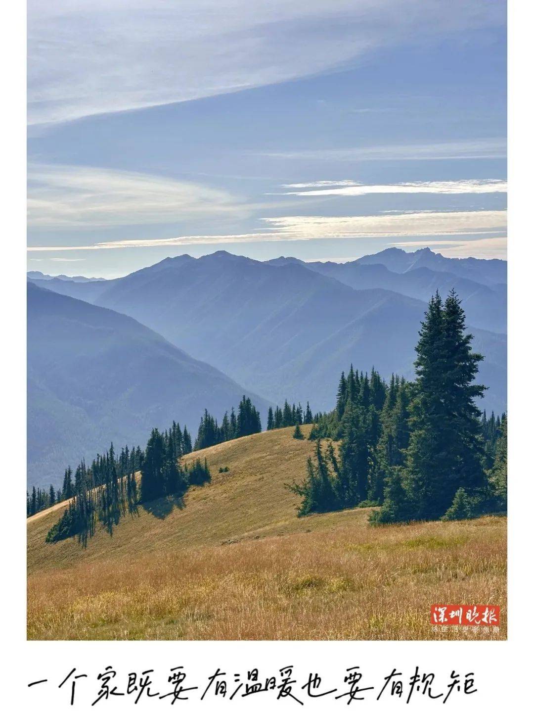 夜色圳好 | 一个家既要有温暖也要有规矩