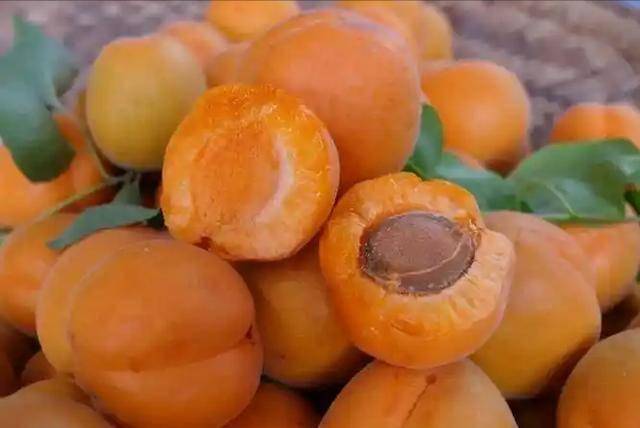 医生发现：经常吃杏子的老年人，用不了多久，或能有4种好处出现