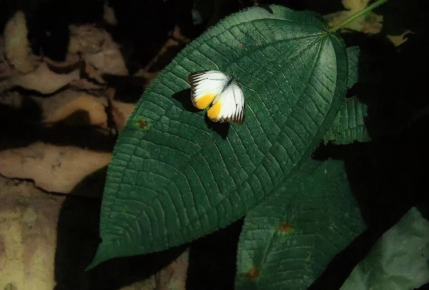 原创            发现一个扎心现象：越过越差的家庭，往往有一个极度固执的人