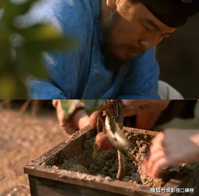 原创            《长安的荔枝》“伪热血”：小人物集体运荔枝，只是资本的算计