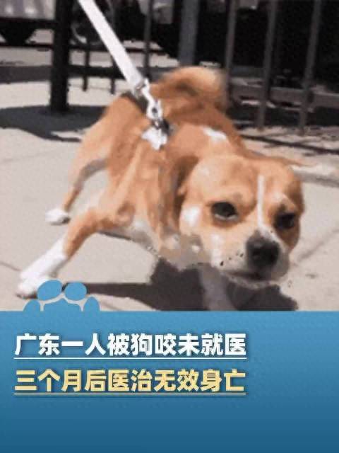 原创            又一例！广东男子被狗咬，没出血就没在意，结果3个月后发病去世