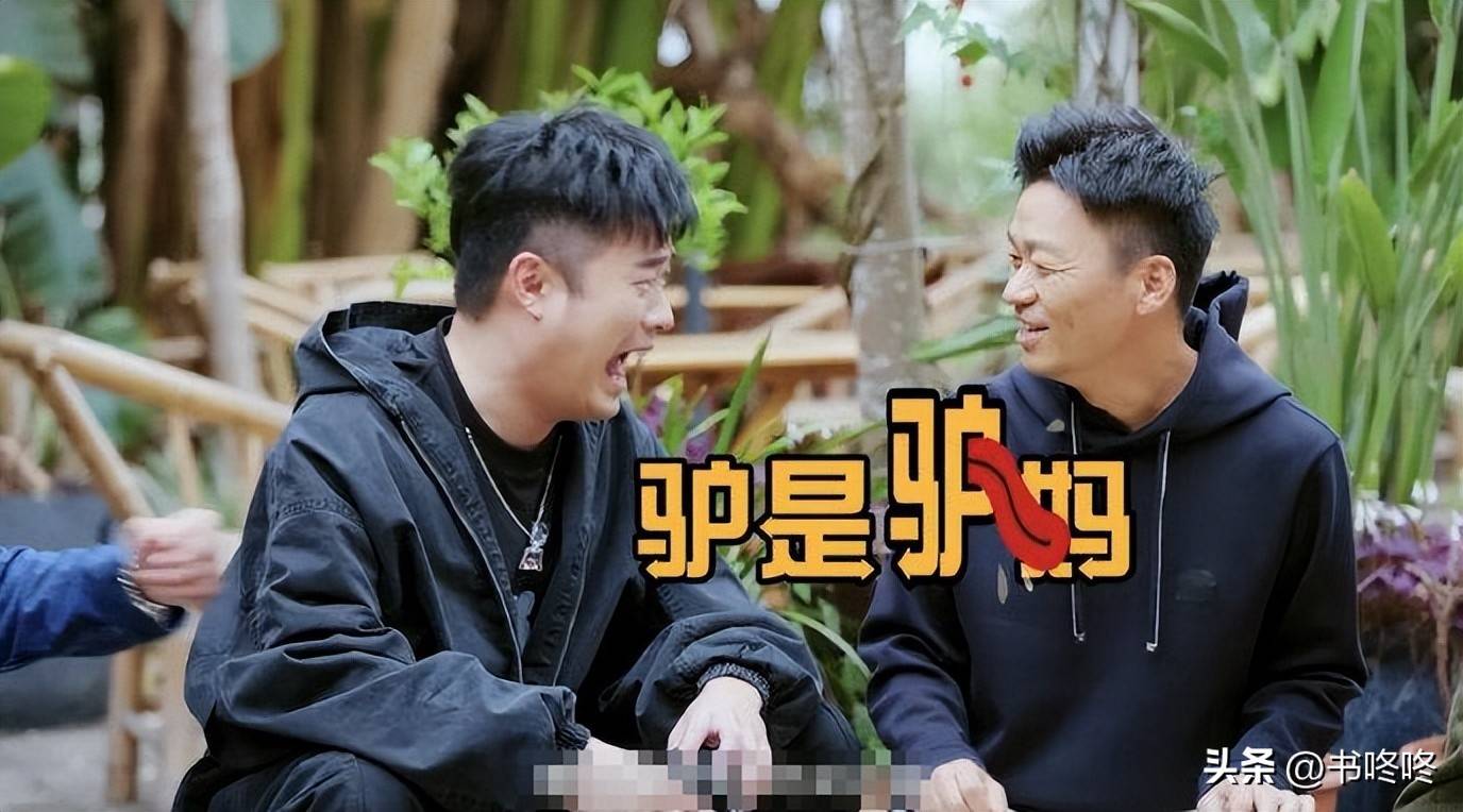 原创            王宝强一句“我是你妈”，让《五哈》口碑和热度直接起飞