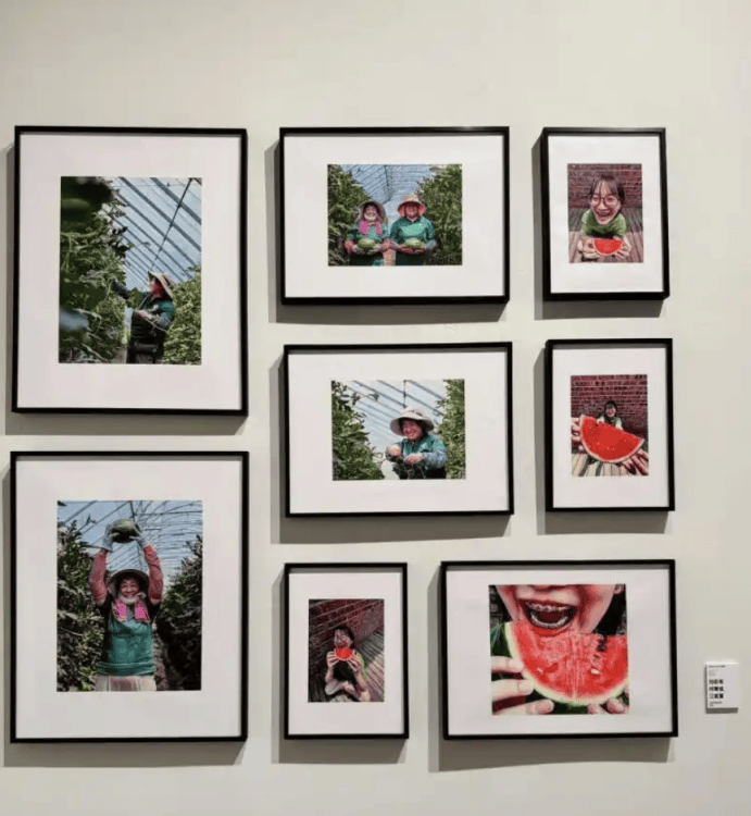 798艺术中心迎来特别展览：大学生用镜头讲述乡村故事