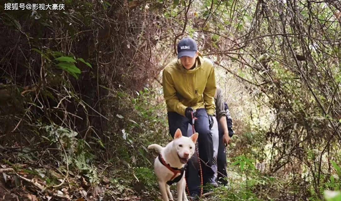 原创            王一博农村单身梗炸翻热搜！顶流不结婚的日子，凭啥让年轻人羡慕