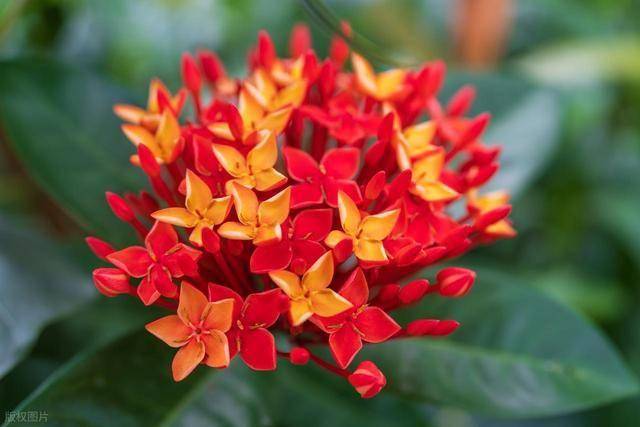 一个男人，把你摆在首位，用心珍惜你，会有的行为