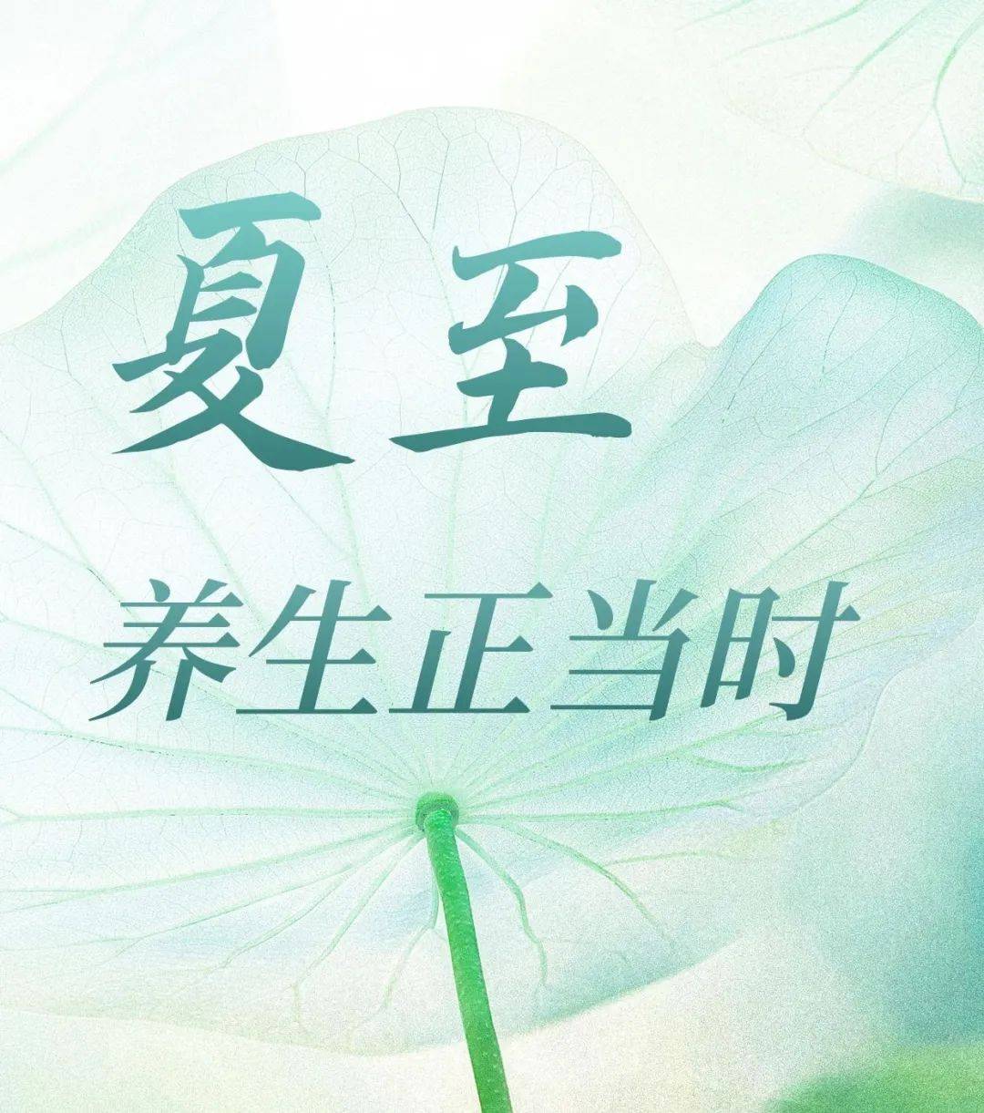 夏至养生正当时，食疗方“未病先防”，享受“清爽一夏”