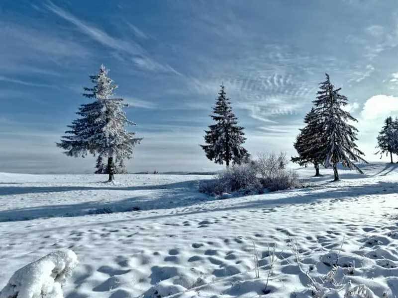 电脑主机噪音大？风扇显卡硬盘降噪方案（静音装机指南）