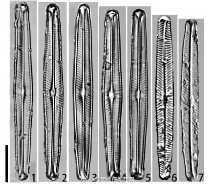 青藏高原湖泊发现水中钻石