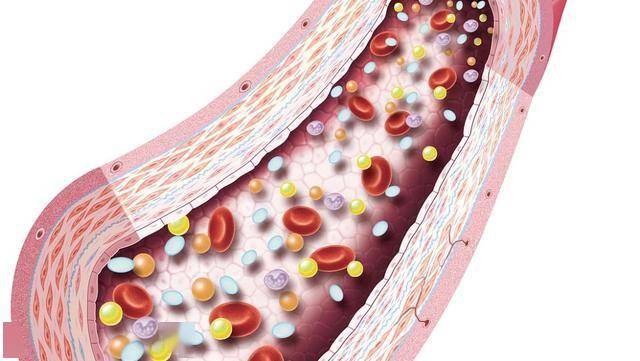 胆红素轻微升高？不用急，可能是肝脏在排毒！医生告诉你好坏区别