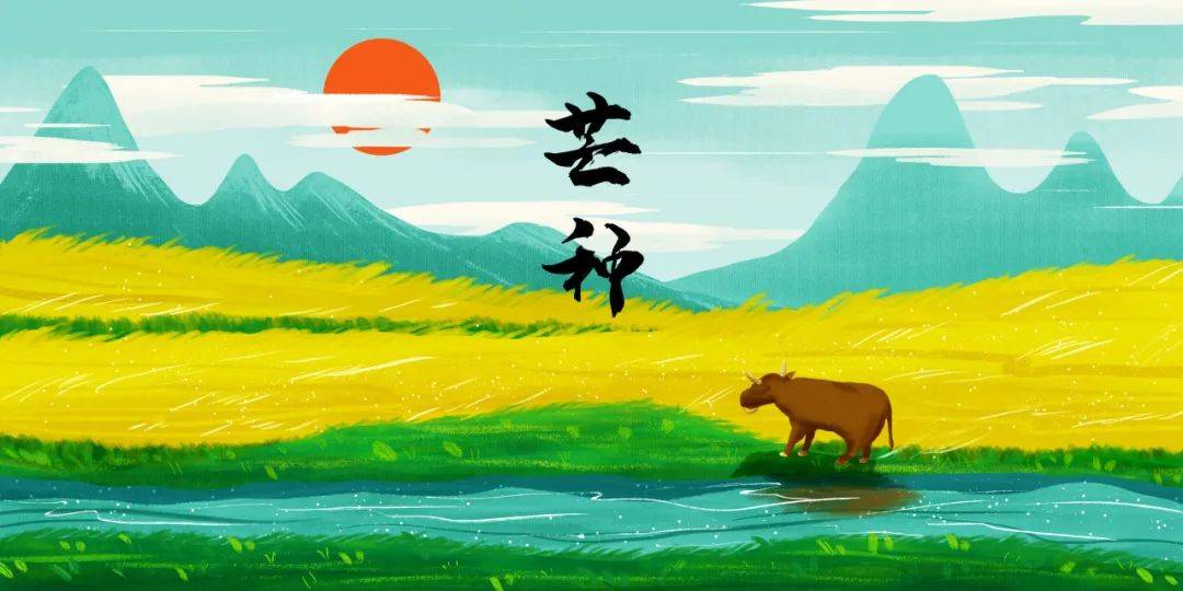 清热祛湿、养心安神 芒种养生牢记“三要三不要”