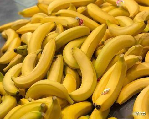 原创            “推粪大将”被发现，不是香蕉，而是这3样，常吃养肝排毒又通便