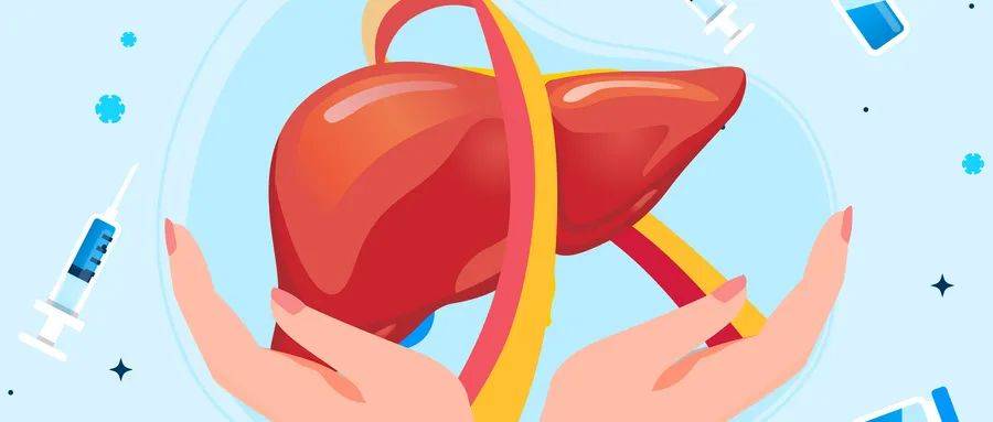 肝脏长了“小疙瘩”，结节还是囊肿？一文厘清关键差异