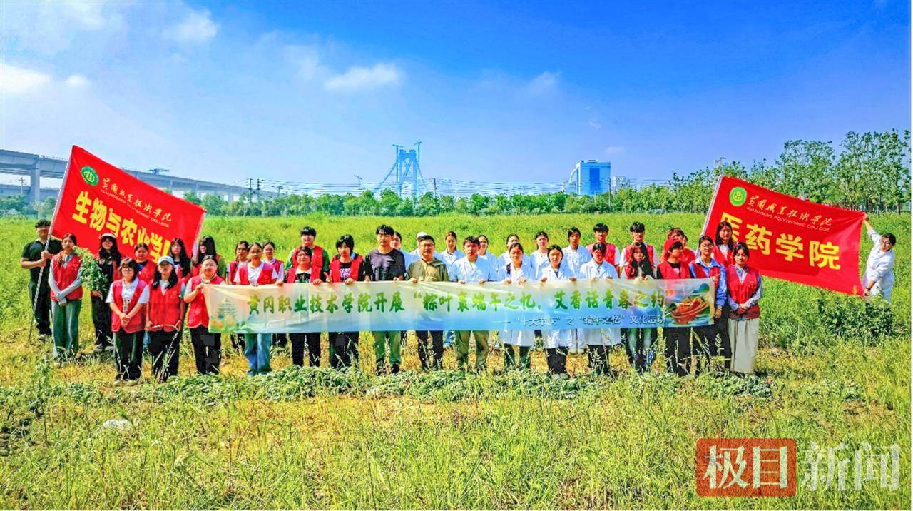 割艾草、包粽子、练书法，黄冈职院中外师生共度端午节