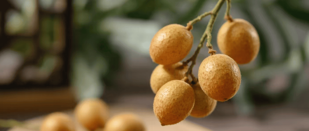 【健康】广东人最爱的“正气果”黄皮！健脾消食、化痰止咳，但四类人慎食