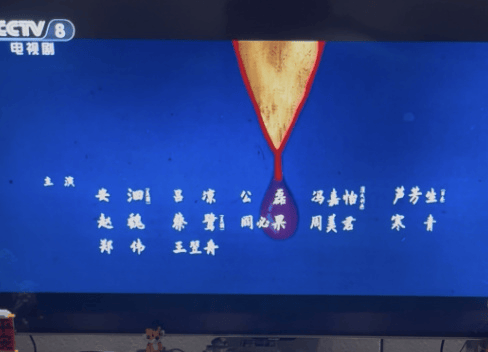 央视八套《长安的荔枝》演员表删除那尔那茜