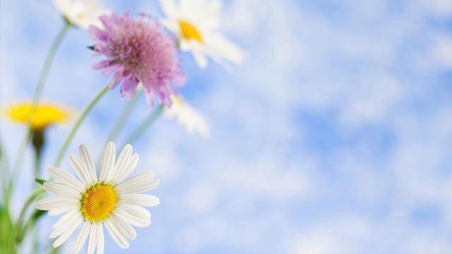 分手后，男人为什么不删你，你想过原因吗？