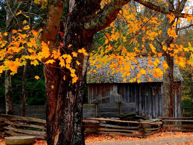 电子血压计使用误区：测量姿势对结果的影响有多大？