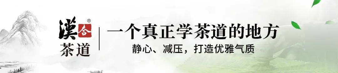 名师引领，心性回归：汉合茶道开启茶道教育“名师时代”