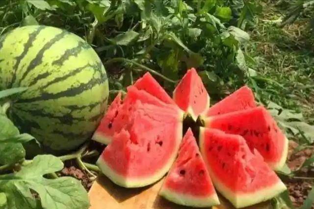 糖尿病患者不能吃西瓜？吃西瓜是升血糖，还是降血糖？看医生咋说