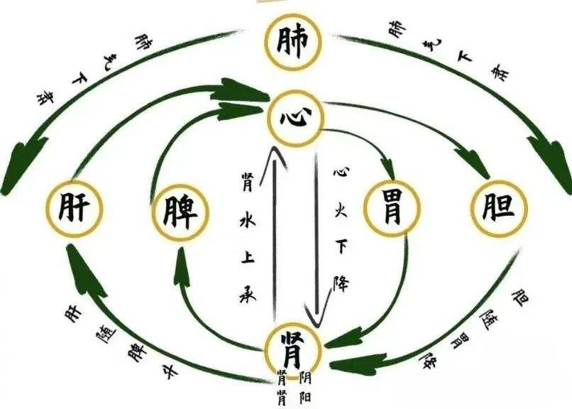 抑郁症，所有人都给你疏肝，却没人告诉你要宣肺...