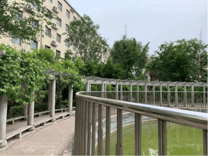 中医治失眠怎么样，中医如何治疗失眠