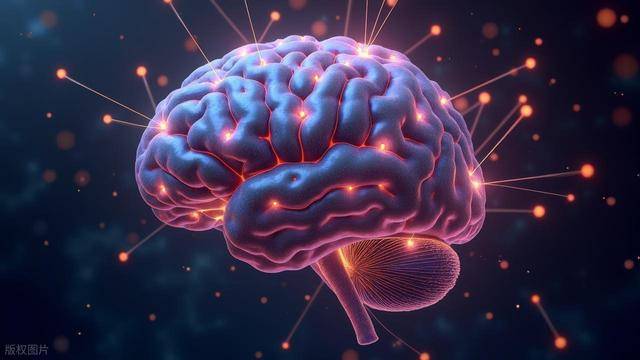 血型与大脑衰老速度有关？哪种血型易得老年痴呆？研究解析