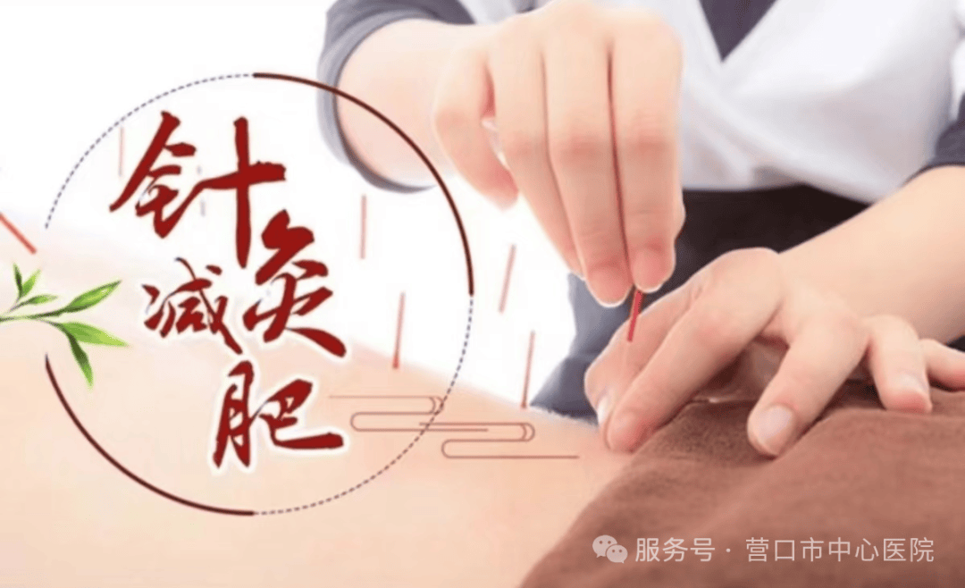 顺势而为 辅助消脂 中医减重正当时