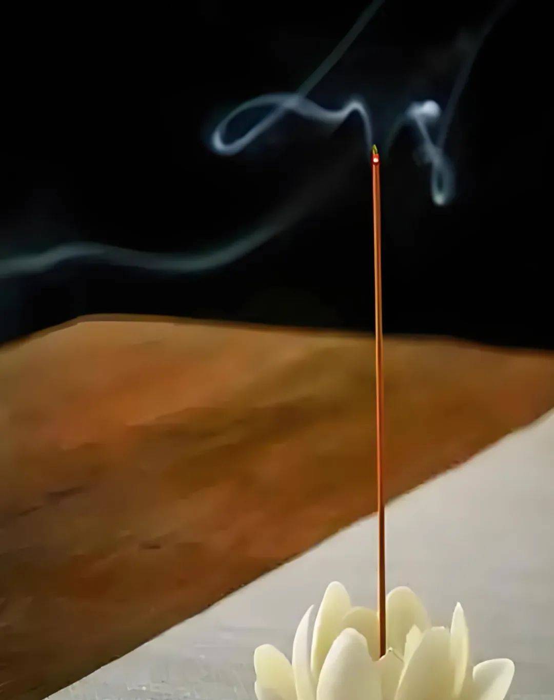 【大众医学】夏至养生正当时，解锁“心静自然凉”