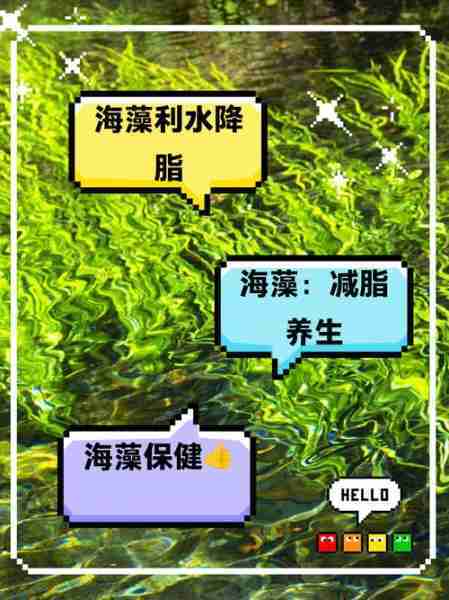 海洋藻类减肥消脂功能研究探索