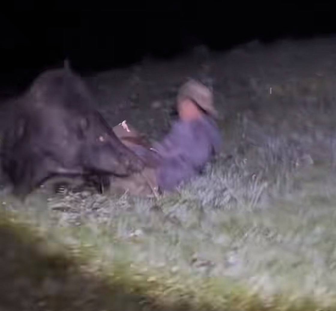 四川知名护农队员捕猎野猪时突遭野猪攻击！所幸及时逃脱：狗第一个冲来，兄弟马上到位