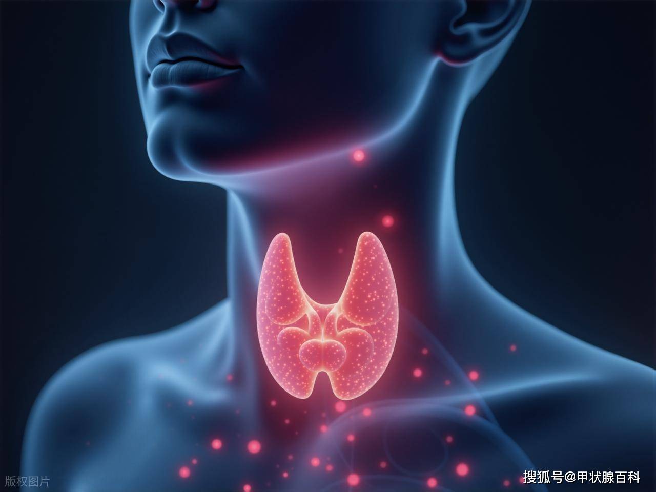 南昌市第五医院甲状腺科：甲亢不只是“大脖子”，心脏检查很重要