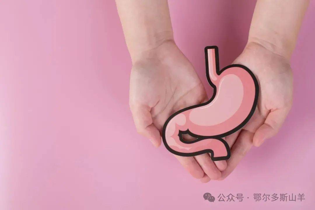 身体出现这5个信号，胃病可能变胃癌！