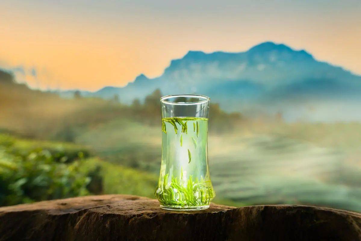 喝竹叶青对身体的好处