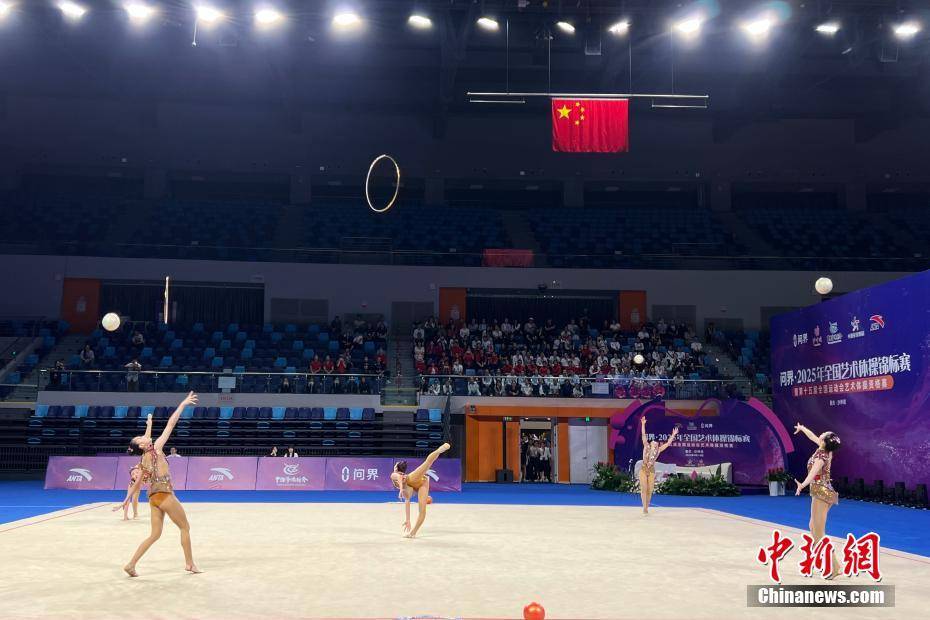 奥运冠军丁欣怡、王澜静出战十五运会艺术体操资格赛