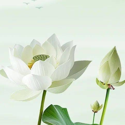 夏至后脑梗高发？中医教你辨体施防护心脉