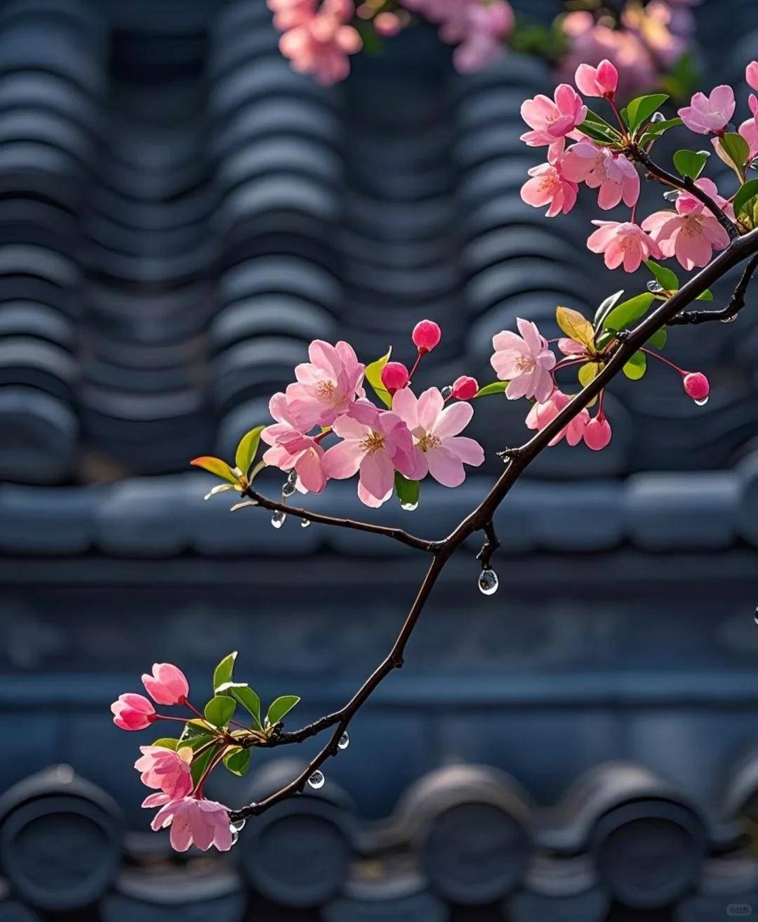 原创            为什么男人背叛后，喜欢和妻子冷战？原因有三