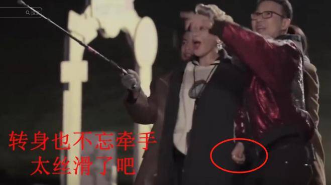 原创            家花不如野花香？汪峰宁静牵手庆生，撕开章子怡伤疤，森林北实惨