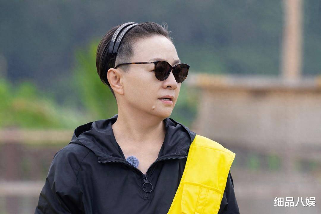 梦幻联动，《桃花坞5》初见面爆出两个《浪姐》梗，您发现了吗？