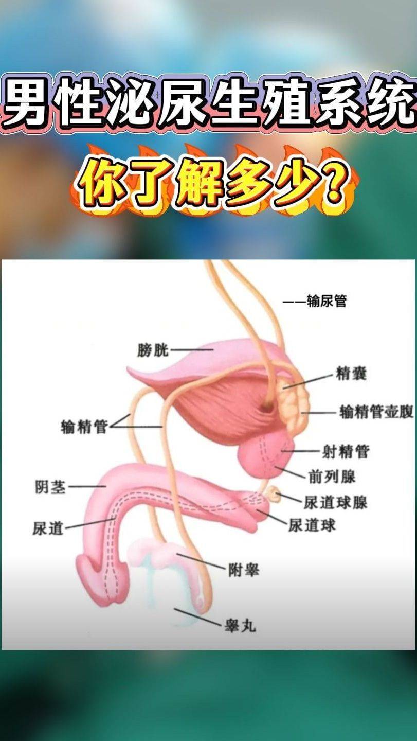 保持合理射精次数，维护男性健康​