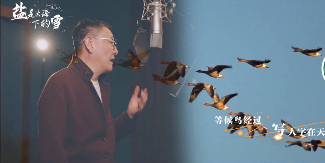 以盐为诗，歌手韩磊献唱原创歌曲《盐是大海下的雪》带火盐城！