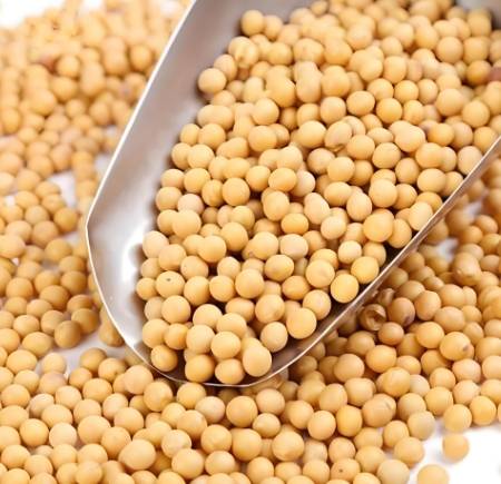 北京菌一生：抗甲状腺癌的10种食物