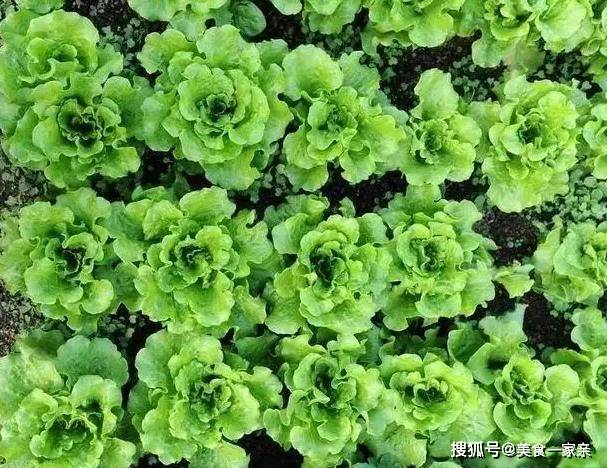 原创            5款一日三餐减肥食谱 吃得营养瘦到尖叫 姐姐吃了6天整整瘦了5斤